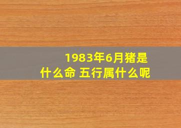 1983年6月猪是什么命 五行属什么呢